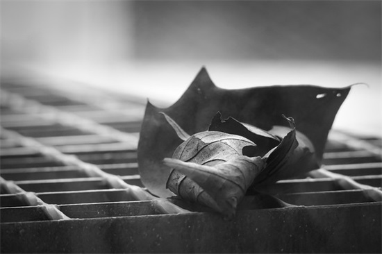 软妹二字网名带糯字的网名