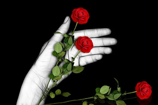 带福和带晴的网名男生名字