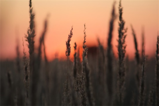 表达心情放松的句子 放松心情句子