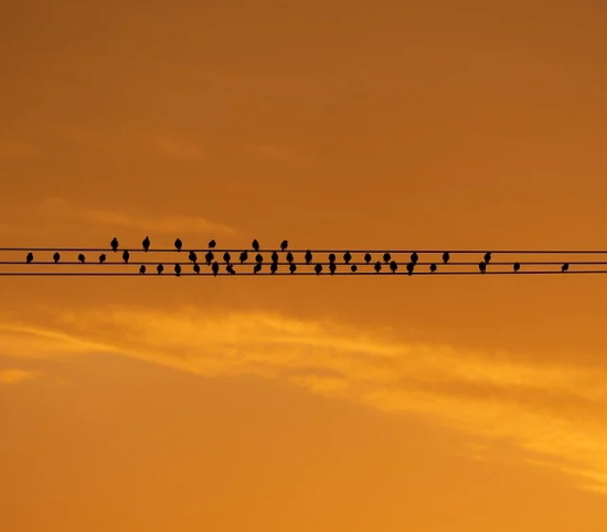 高中议论文素材