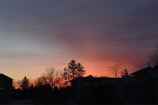 腊肉炒春笋怎么做才好吃