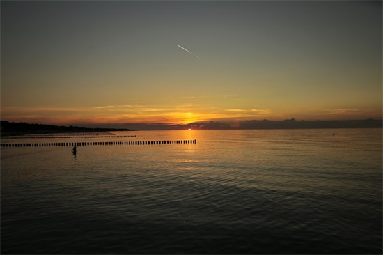 新的一年对公司的寄语-52句