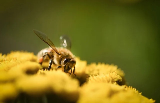 最新生日祝福语98句