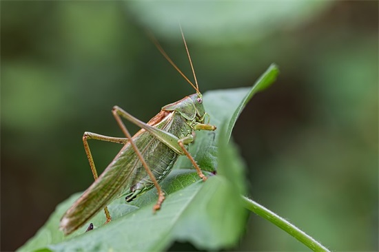 安全寄语100字左右-99句
