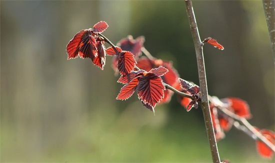 老师医学生寄语-64句