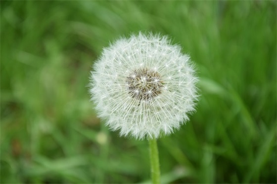 幼儿园升学寄语-52句