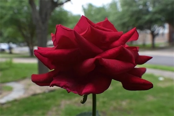 给即将上高一孩子的寄语-53句