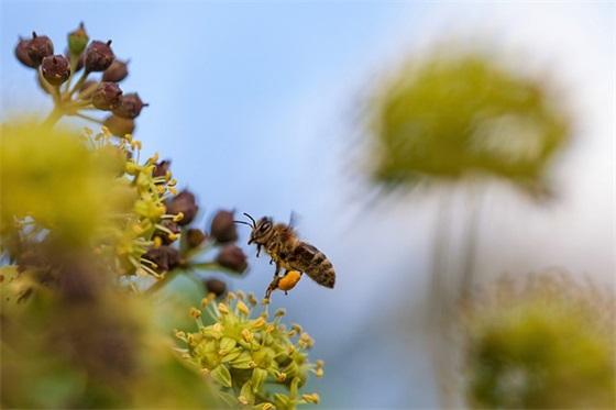 关于团结的寄语简短-53句