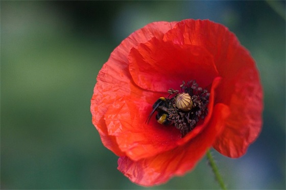 对大学毕业的孩子的寄语-53句