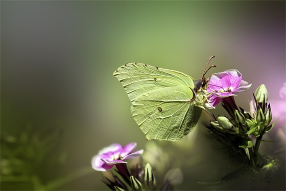 对幼儿大班孩子的希望和寄语-42句