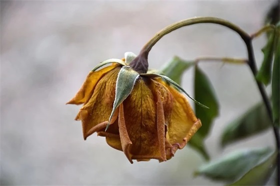 带爱字的高级网名男士