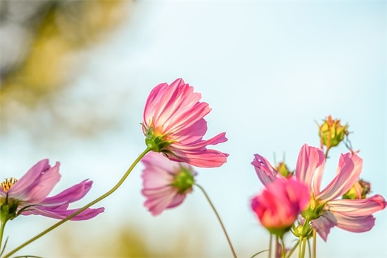 带杯的二字网名