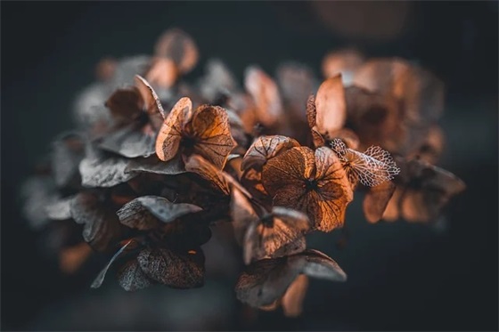 让自己坚强的句子66句