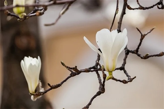 qq空间描述短句子