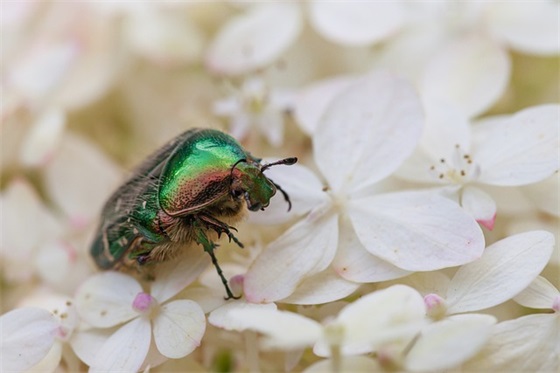 黑社会经典句子