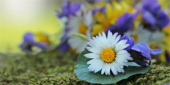 2026虎年元宵节简短祝福语 虎年元宵节的祝福语