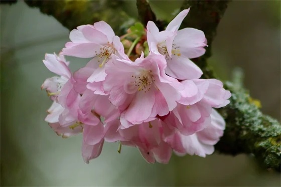 端午节祝福语大全四字成语39句