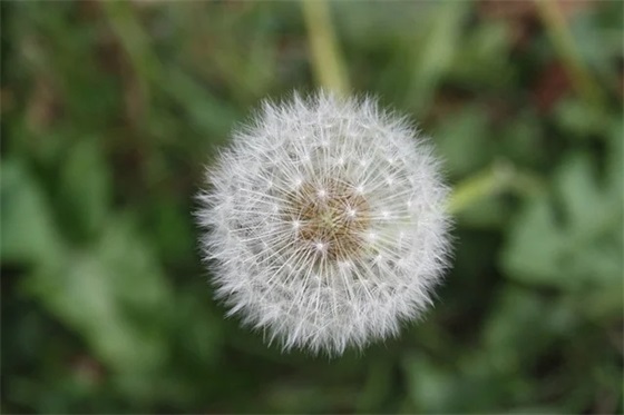 30岁男人成熟昵称微信网名(共87个)