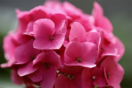 气质高冷网名女生简短