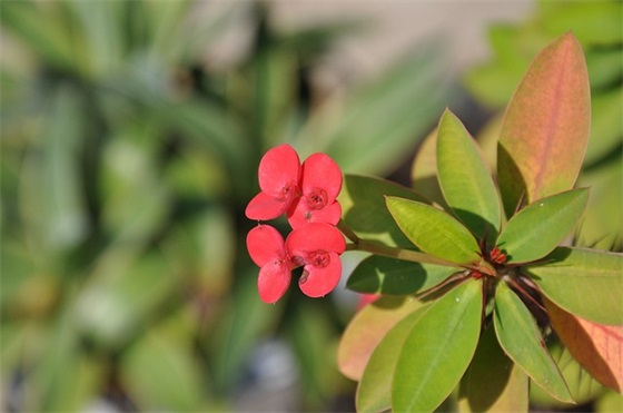 唯美非主流长网名