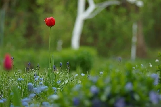 微信文言文网名大全