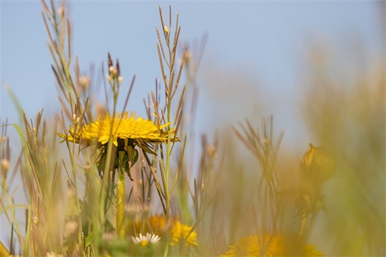 唯美西班牙语网名