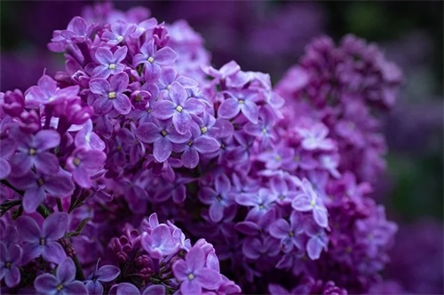 2026元宵节祝福语说说简短