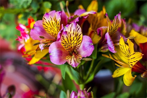 震撼人心的励志的句子