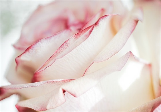 中秋节祝福语浪漫经典语句