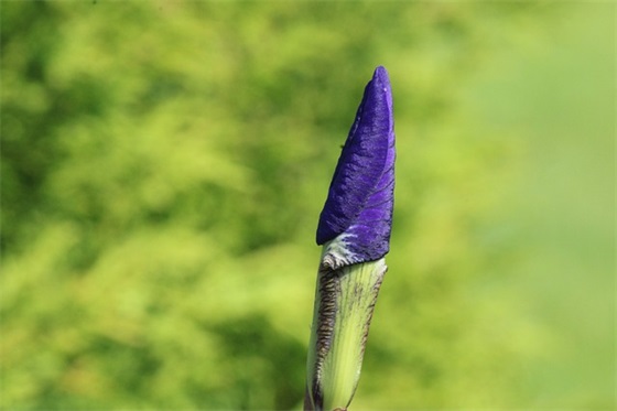 写给闺蜜的生日祝福语简短45句