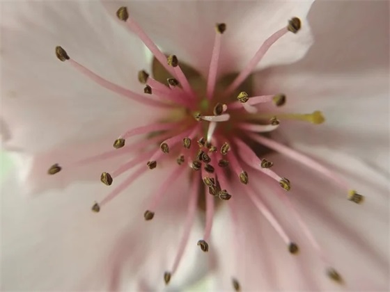 六年级孩子过生日的祝福语