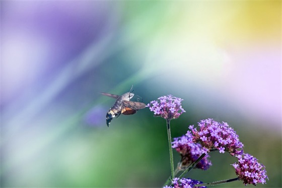 朋友送行祝福语诗句 朋友送行的诗句