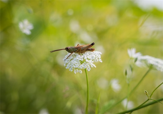 情人节精选快乐祝福语
