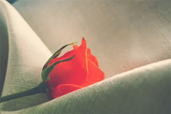 西方情人节贺卡祝福语