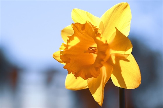 晚安集正能量句子