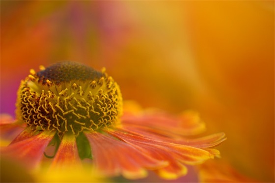 暗示友情破裂的文艺句子