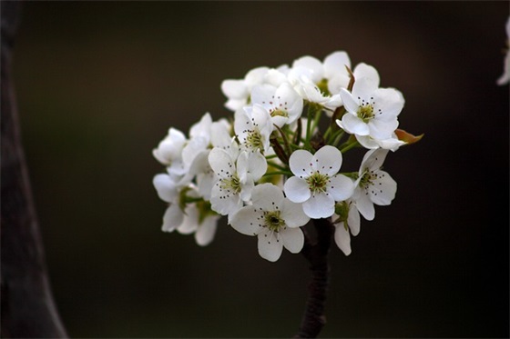 表达失望的句子集锦(表达对一个人失望到极点的句子)