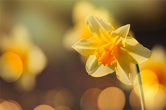 中年男人感慨生活心酸社会太现实的句子