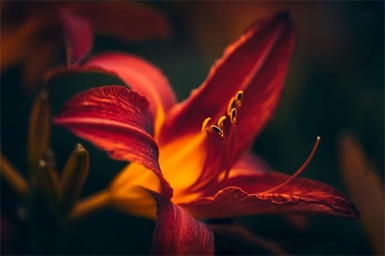 分手难过的爱情伤感句子