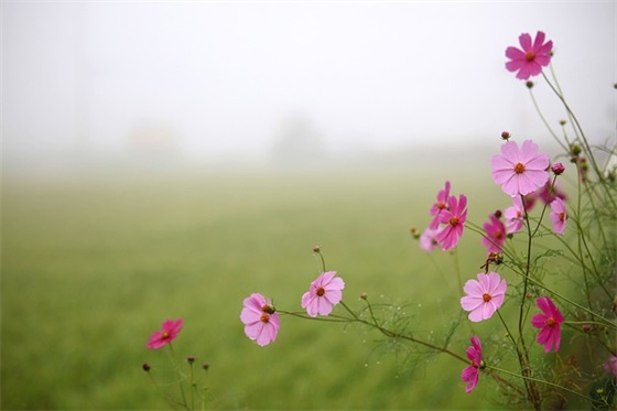 劝女人坚强的句子,女人坚强努力的句子
