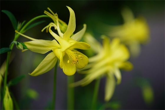 背井离乡的励志句子 背井离乡的励志句子