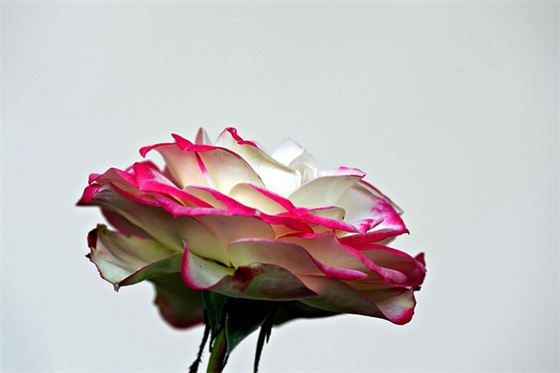 让人看了心酸的句子