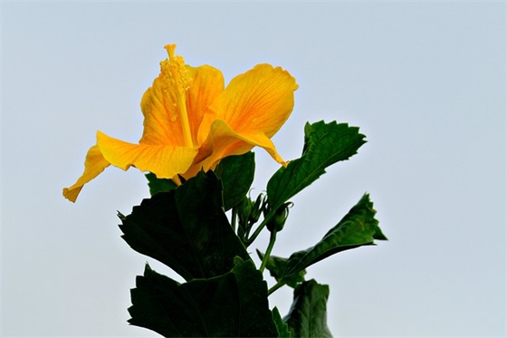 给运动员加油的句子