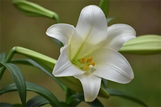 有内涵酒醉伤感的句子 酒后伤感的句子