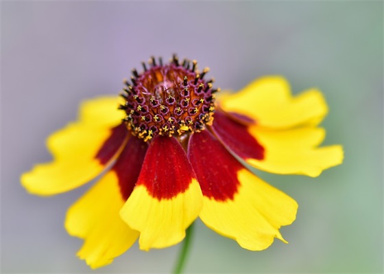 重头再来的励志语句 落魄了重头再来的句子