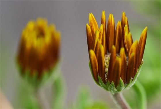 鼓励人心的句子