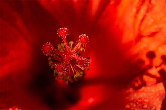 夸别人视频做得好的文艺句子