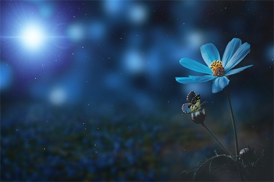 描写友情的悲伤句子