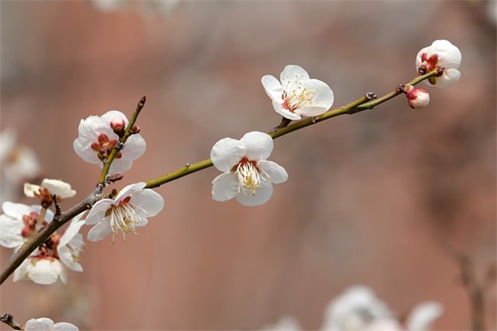 自我嘲讽的扎心句子文案 自我嘲讽的扎心句子