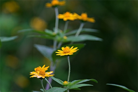 讽刺人无知浅薄的句子文案(高级讽刺人恶心的文案)